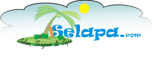 abachriel-Selapa_Logo4.png